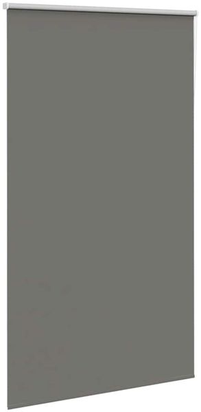 vidaXL Verdunkelungsrollo Grau 120x230cm Stoffbreite 116,6cm Polyester 4011210 Bild 3
