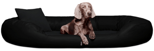 Sammy VIP Orthopädisches Hundebett - 100x85cm, 03 Schwarz