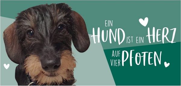United Labels® Tasse Hunde - Dackel - Ein Hund ist ein Herz auf vier Pfoten - Mug, Keramik