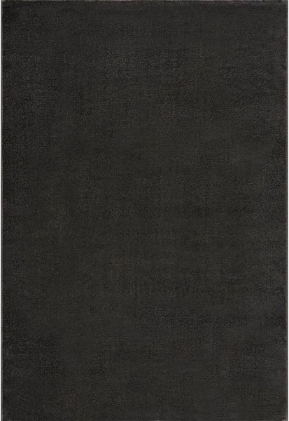 SANAT Kurzflor Teppich Wohnzimmer - Uni Modern Teppiche fürs Schlafzimmer, Arbeitszimmer, Büro, Flur, Kinderzimmer und Küche - Dunkelgrau, 200x290 cm
