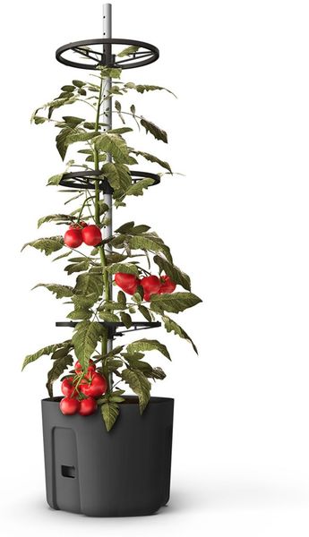 3x BURI Tomatenpflanztopf mit Rankhilfe Anthrazit Tomatentopf Pflanzkübel Pflanztopf Blumentopf Blumenkübel Kletterhilfe Anzuchttopf