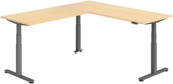 bümö Eckschreibtisch elektrisch höhenverstellbar L-Form: 200 x 240 cm in Ahorn, Gestell graphit - Stehschreibtisch mit Memory-Steuerung, elektrischer XXL Schreibtisch für die Ecke, XDSMW-2016-3-G
