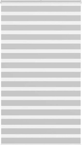 vidaXL Doppelrollo Hellgrau 120x200 cm Stoffbreite 115,9 cm Polyester 4014473