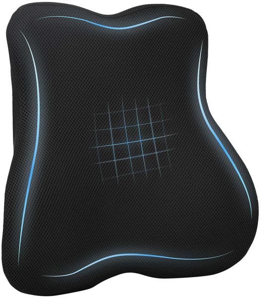 vidaXL Rückenkissen Schwarz Viscoschaum 40 x 40 x 11 cm 42012708