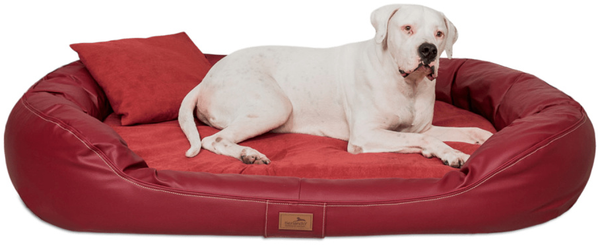 LENNART VIP VISCO PLUS Orthopädisches Hundebett - 170x110cm, 04 Dunkelrot