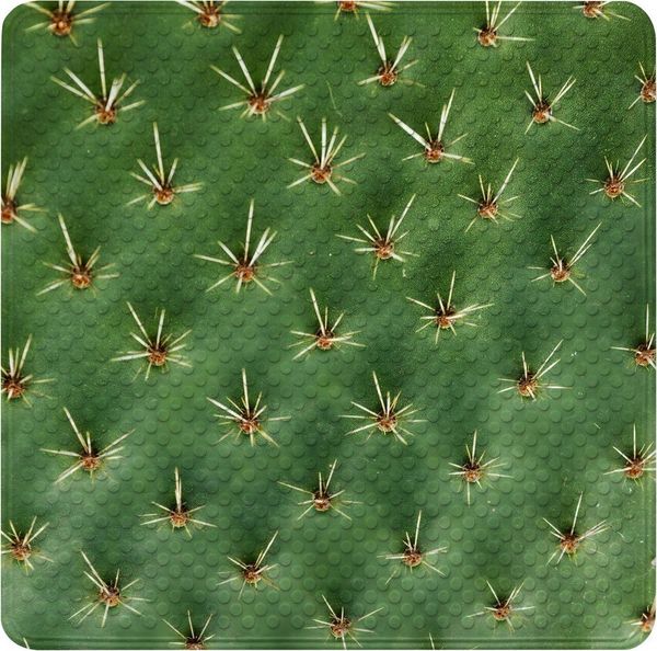 Sanilo Duschmatte Kaktus, rutschfeste & sichere Badematte, hochwertig, mit Motiv, Kunststoff PVC, quadratisch, 230 extra starke Saugnäpfe, 53 x 53 cm, waschbar