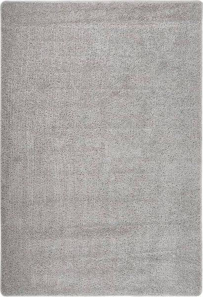 vidaXL Shaggy-Teppich Hellgrau 120x170 cm Rutschfest 340383