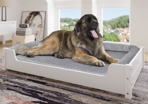 Hundesofa XXL für Dogge, Bernhardiner und Co. Tierbett 120x70 Kiefer weiß V-30.32-W-120x70Rollrost inkl.