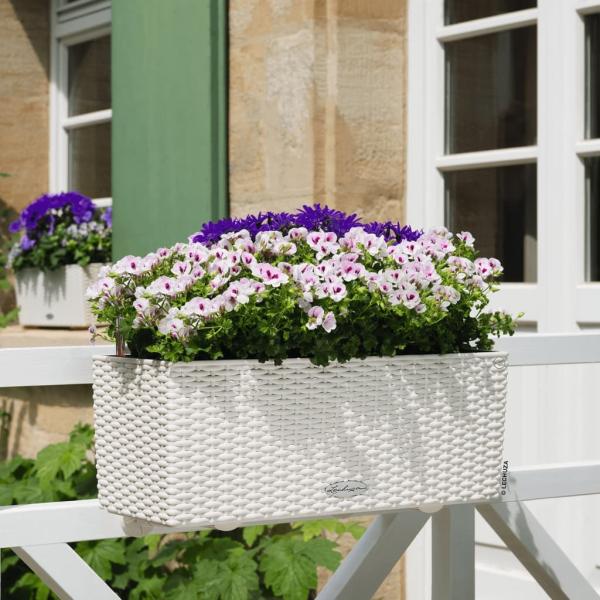 LECHUZA Pflanzgefäß BALCONERA Cottage 50 ALL-IN-ONE Weiß 442089