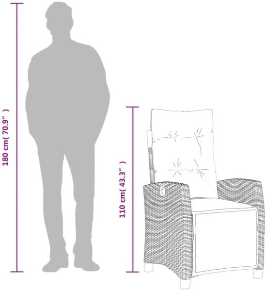 vidaXL Gartensessel mit Fußteil 2 Stk. Verstellbar Schwarz Poly Rattan 365240 Bild 4