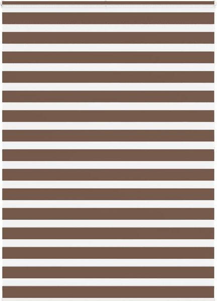 vidaXL Doppelrollo Braun 155x200 cm Stoffbreite 150,9 cm Polyester 4014376