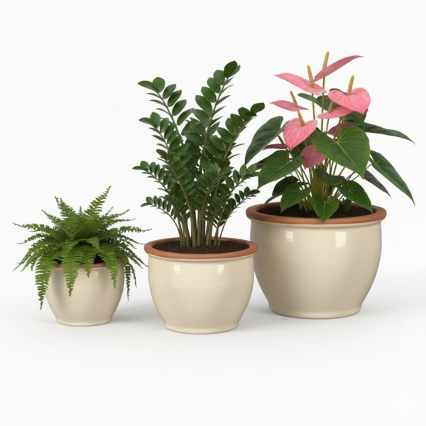 Blumentopf Pflanzgefäß aus Keramik Modell "Roma" 30cm Creme Bild 6