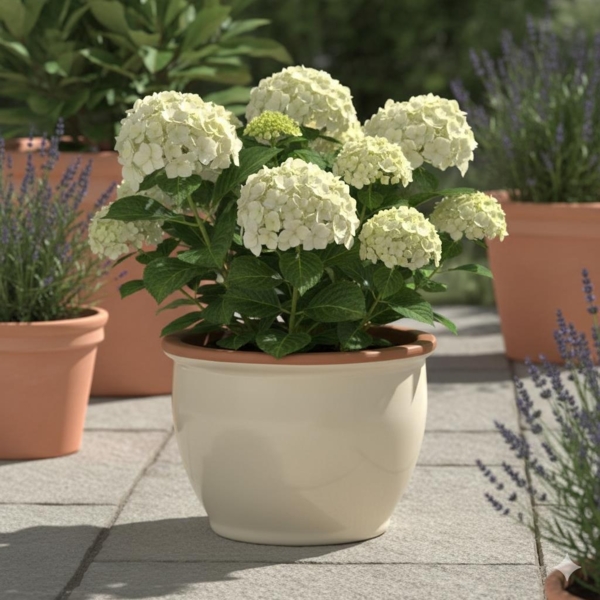 Blumentopf Pflanzgefäß aus Keramik Modell "Roma" 30cm Creme Bild 5