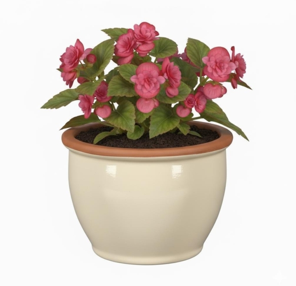 Blumentopf Pflanzgefäß aus Keramik Modell "Roma" 30cm Creme Bild 1