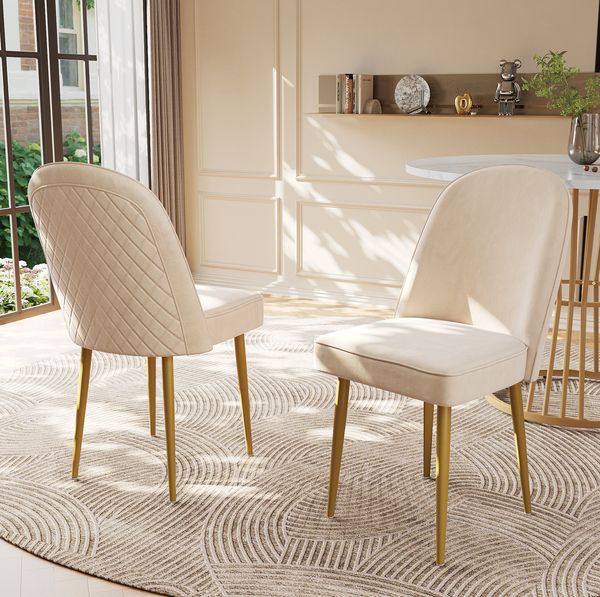 Esszimmerstühle 45,5 x 62 x 87,5 cm, 2er-Set aus Samt mit goldenen Metallbeinen