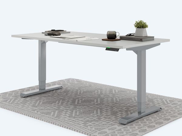 Desktopia Pro X - Elektrisch höhenverstellbarer Schreibtisch / Ergonomischer Tisch mit Memory-Funktion, Grau, Gestell Grau, 160x80 cm