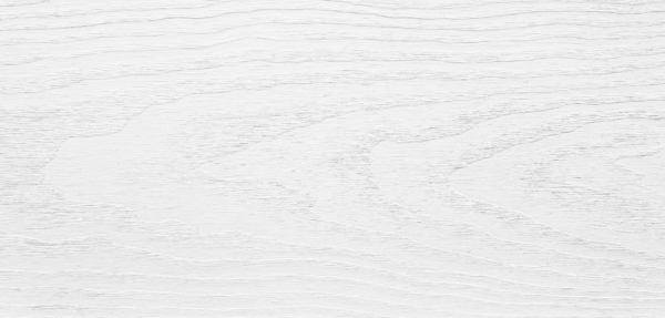 Gästebett Doppelbett Echtholzbett 160x200 hohe Sitzkante Kiefer massiv weiß V-60.61W-16Rollrost und Matratze inkl. Bild 8