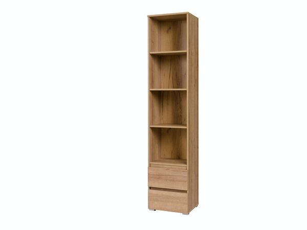 Beautysofa Bücherregal Cosmo schmales Bücherregal mit Schubladen, (B:45 H:204 T:24cm / 2 geräumige Schubladen)