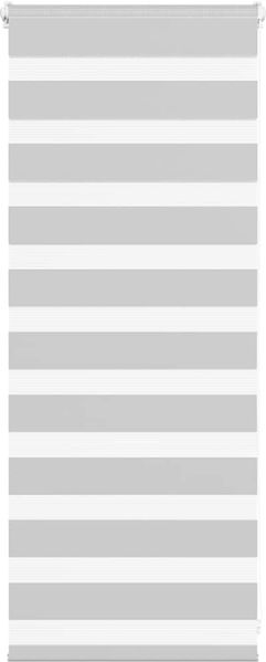 vidaXL Doppelrollo Hellgrau 65x100 cm Stoffbreite 60,9 cm Polyester 4014410