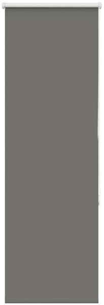 vidaXL Verdunkelungsrollo Grau 55x130 cm Stoffbreite 50,7 cm Polyester 4011093 Bild 2