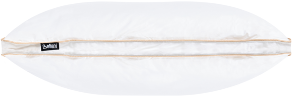 3-Kammer-Kopfkissen ETNA Hoch Entenfedern und Daunen 50 x 60 cm Weiß Bild 4