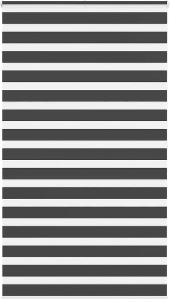 vidaXL Doppelrollo Schwarz 120x200 cm Stoffbreite 115,9 cm Polyester 4014265