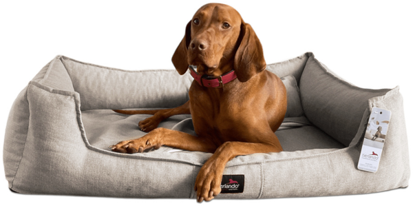 SCARLETT Orthopädisches Hundebett - 14 Beige, 160x110cm