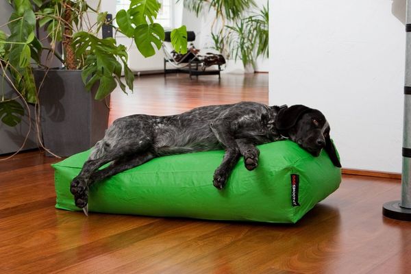 Smoothy Tierbett SMOOTHY Hundebett Classic – Premium Hundekissen & Hundebett groß, Hundebett Hundekissen