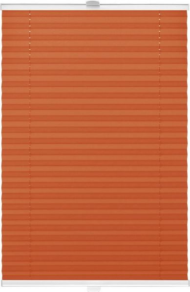 Rikmani Plissee Klemmfix, ohne Bohren CLASSIC, Klemm- oder Schraubmontage, Klemmfix, ohne Bohren, Sonnenschutz