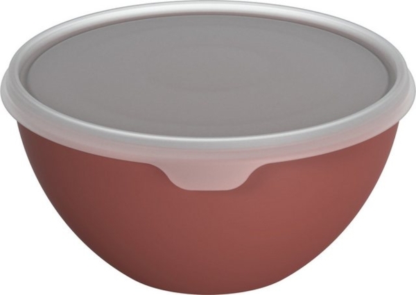 Rotho Schüssel mit Deckel Caruba, 3 L iron rot, Frischhaltedose Schale