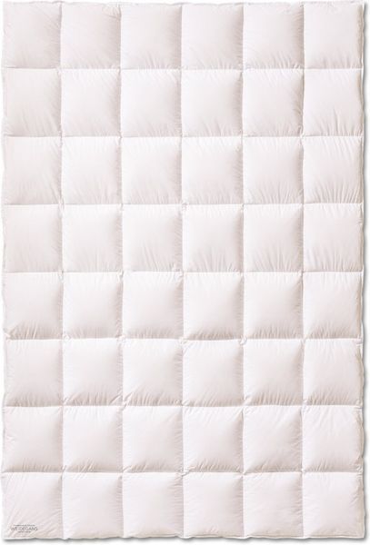 Kauffmann Gänsedaunenbettdecke Daunenbettdecke Weidegans Limited Edition "Medium", Füllung: 100% Gänsedaunen, Bezug: 100% Baumwolle, Ausgezeichneter Schlafkomfort und herrlich natürliches Schlafklima