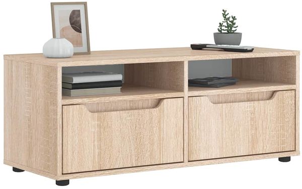 TV-Lowboard, TV-Schrank VISNES Sonoma-Eiche 100x40x38 cm Holzwerkstoff