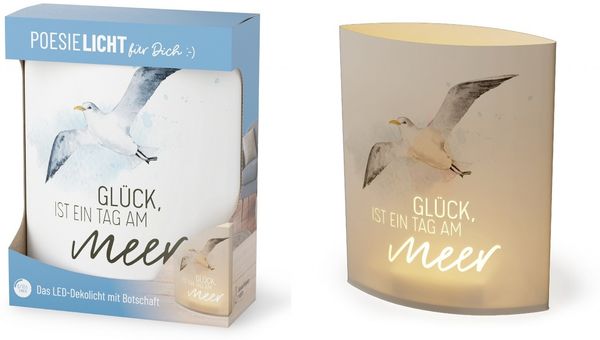 Deko Lampe Leuchte Batterie Poesielicht für Dich la vida Geschenk Möwe 6298611
