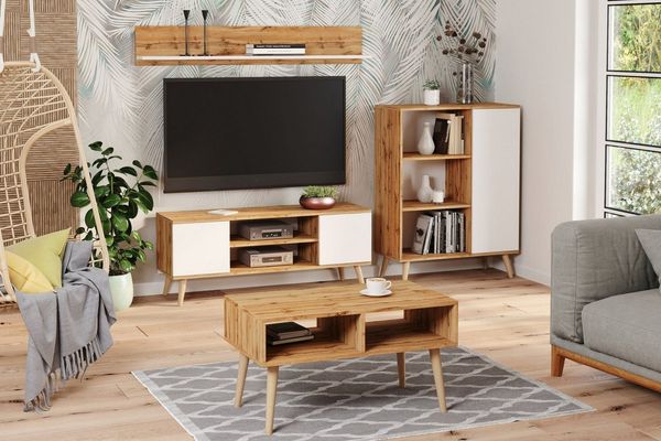 Raumhirsch Furniture Lowboard Focus, Stehendes Fernsehregal für das Wohnzimmer (Fernsehkommode, TV Schrank, TV Board stehend), Elegant & Funktional