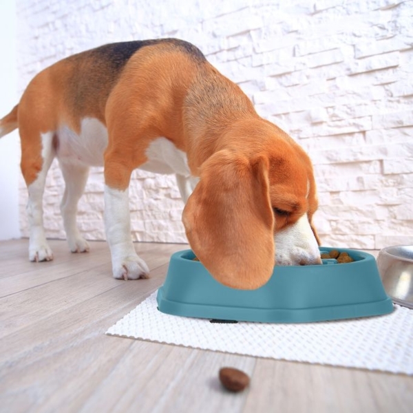 Anti Schling Napf 500 ml 10043298_53 Bild 5