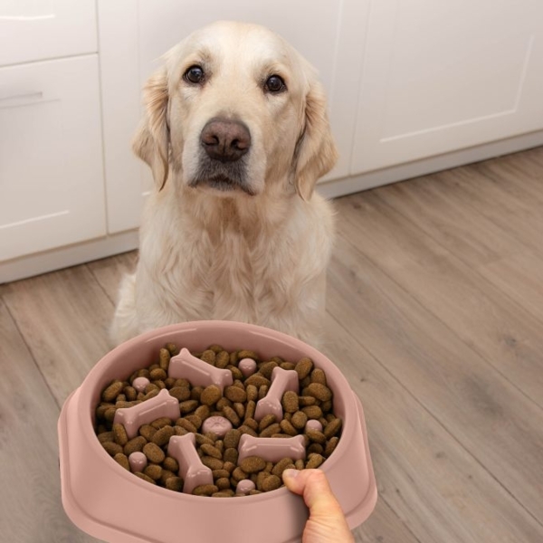 Anti Schling Napf 500 ml 10043298_53 Bild 3