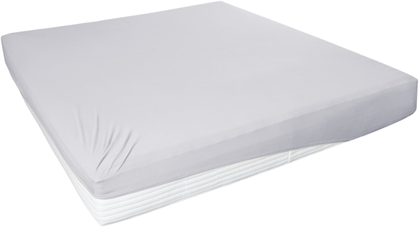 Westminster Spannbetttuch Jersey Elastan 100 x 200 cm hellgrau