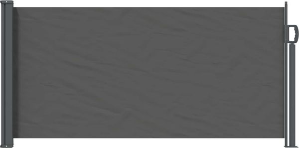 vidaXL Ausziehbares Seitenmarkise Anthrazit 300 x 100 cm Polyester 42035564