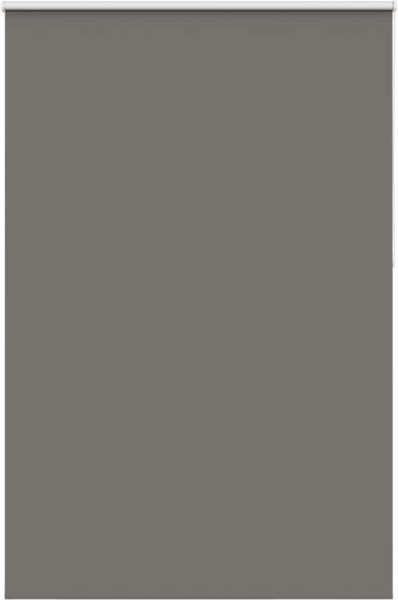 vidaXL Verdunkelungsrollo Grau 165x230cm Stoffbreite 161,6cm Polyester 4011219