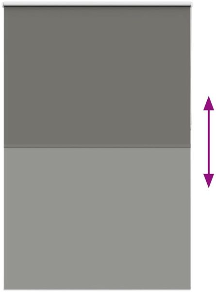 vidaXL Verdunkelungsrollo Grau 165x230cm Stoffbreite 161,6cm Polyester 4011219 Bild 5