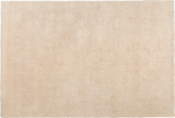 Teppich hellbeige 200x300 cm Shaggy DEMRE