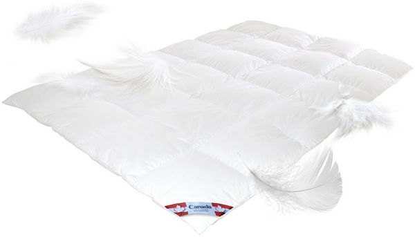 Canada Daunenbettdecke Mega Preis Canada Daunendecke warm 100% Natur, Soft Feeling Canada Daune keine lästig piksenden Federkiele