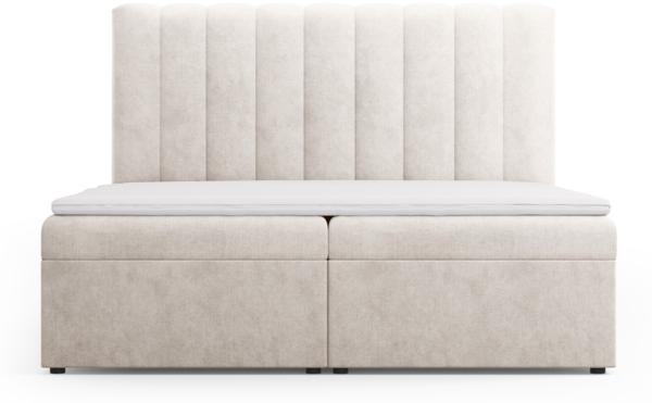 Micadoni Boxspringbett Kelp Strukturierter Stoff Grau Beige Melange 180x200