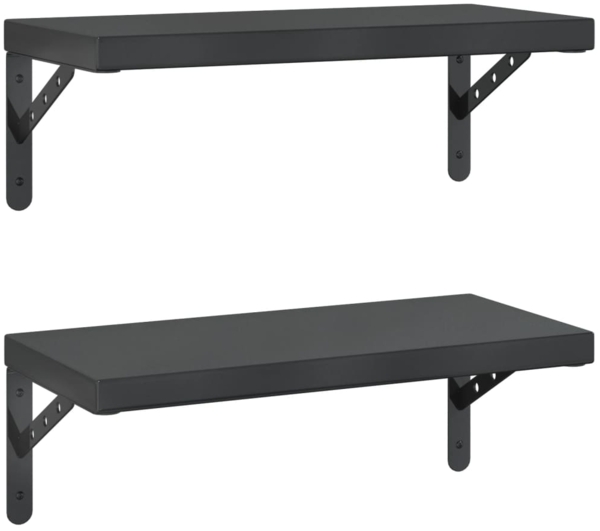 vidaXL Wandregale 2 Stk. 50x23,5 cm Schwarz Edelstahl 3214519