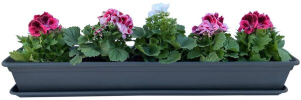 Blumenkasten Balkonkasten Pflanzkasten Anthrazit mit Bewässerungssystem und Untersetzer 80 oder 100cm