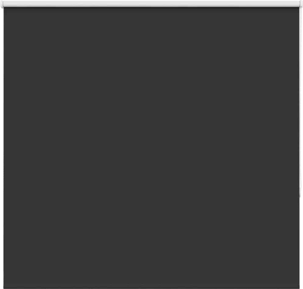 vidaXL Verdunkelungsrollo Schwarz 165x175 cm Stoffbreite 161,6 cm 4010907