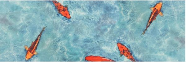 Primaflor-Ideen in Textil Vinyl-Läufer Küchenläufer KOI, rechteckig, Höhe: 2,5 mm, Küchenläufer aus Vinyl, abwischbar, Motiv Koi Fisch, Küche