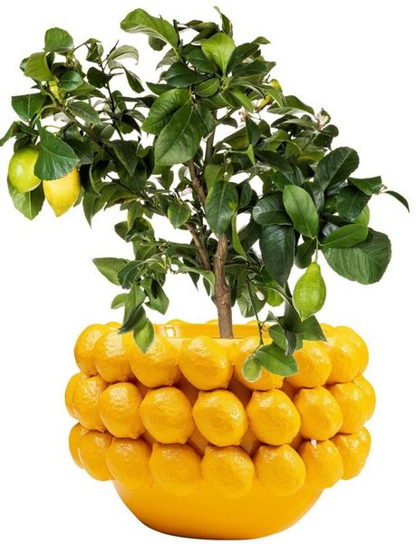 Kare Design Übertopf Deko Übertopf Lemon Juice 22cm