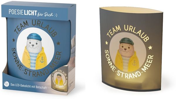 Deko Lampe Leuchte Batterie Poesielicht la vida Geschenk Seehund 6298621