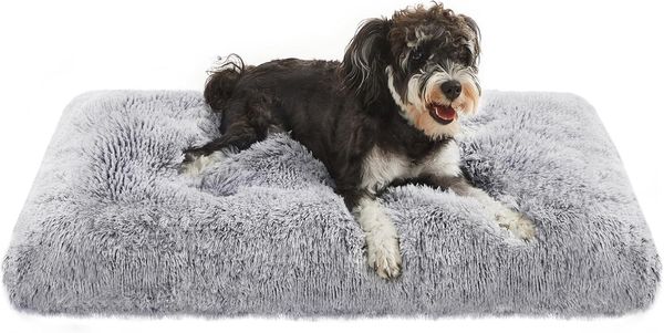 Feandrea Hundebett, Hundekissen, flauschige Hundematte, langer Plüsch, 80 x 50 cm, weiche Polsterung, maschinenwaschbar, multifunktional, Ombré-Grau